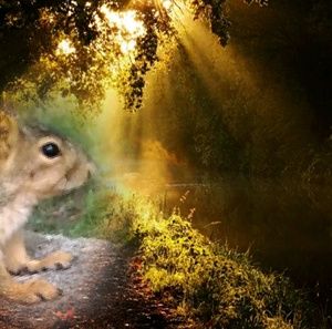 Meet your Posher, Randi